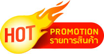 hot promotion รายการสินค้า